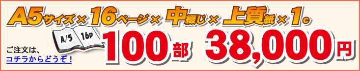 A/5TCY~16y[W~Ԃ~㎿~1@100@38,000~